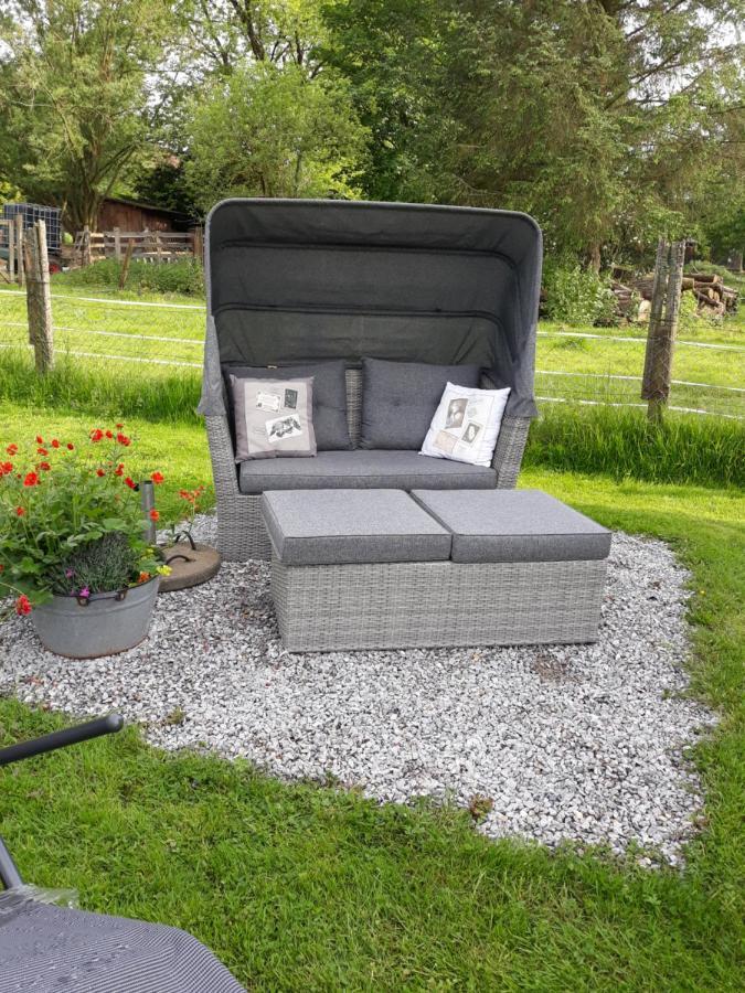 Sonnentau 1 * Holzminden